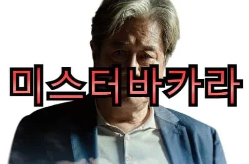 바카라 확률표